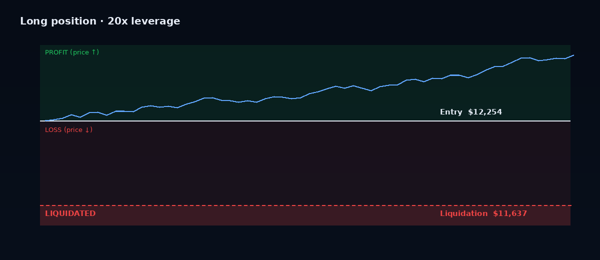 How liquidation price is set for a leveraged long - profit above entry, liquidation below.